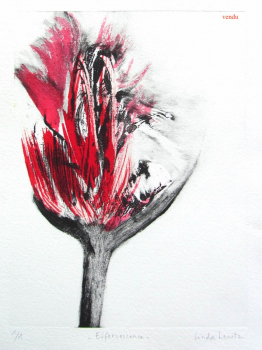 effervescence-copie