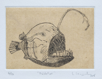 Gravure eau forte-prédator-Linda Lewitz