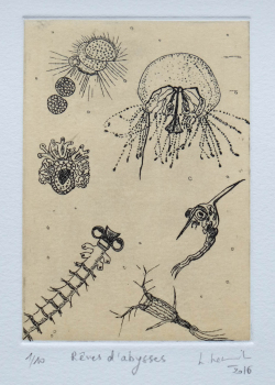 Gravure eau forte-rêve d'abysses-Linda Lewitz